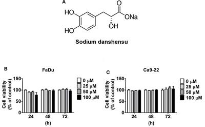 Sodium Danshensu Inhibits Oral Cancer Cell Migration and Invasion by Modulating p38 Signaling Pathway